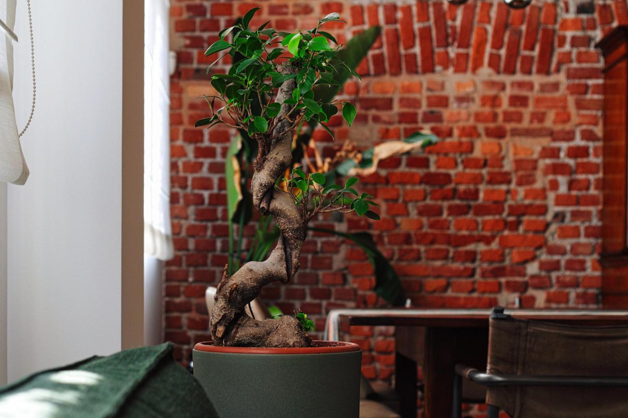 Mpm- Luxury Loft Navigli Lejlighed Milano Eksteriør billede
